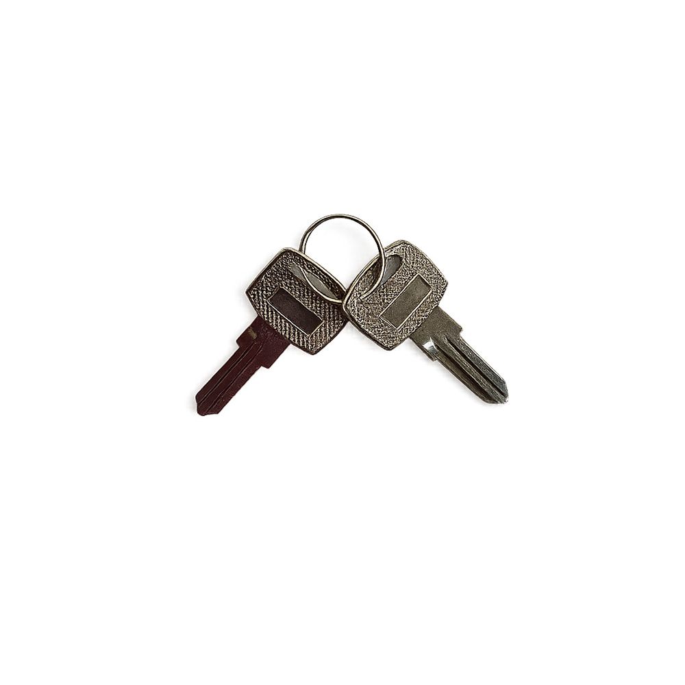 Practo Garden B399 losse blanco sleutels small (2 stuks) voor Practo Garden brievenbussen