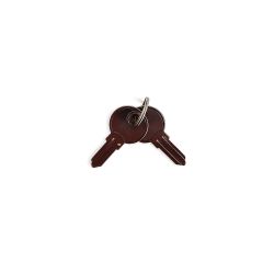 Practo Garden B599 losse blanco sleutels medium (2 stuks) voor Practo Garden brievenbussen