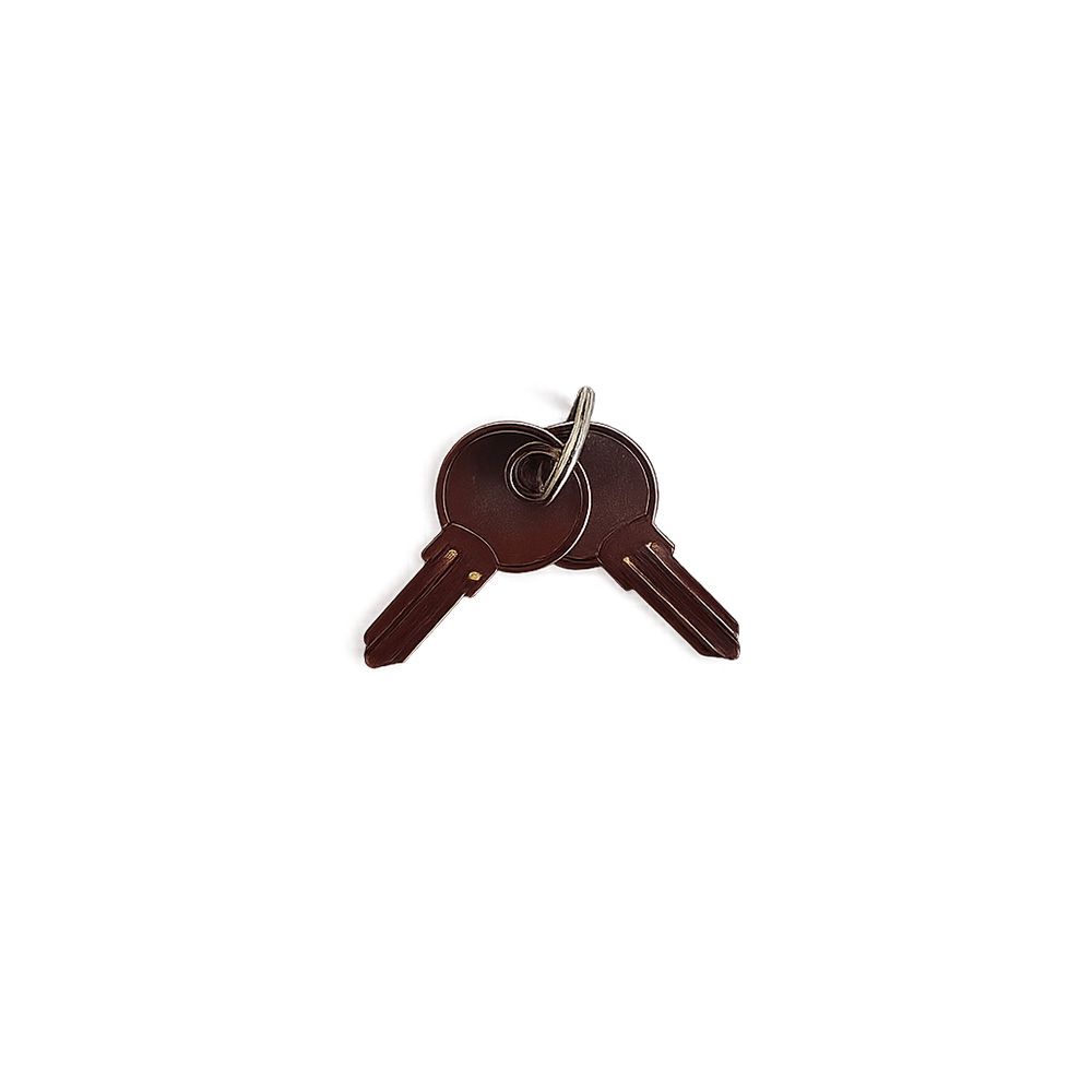Practo Garden B599 losse blanco sleutels medium (2 stuks) voor Practo Garden brievenbussen