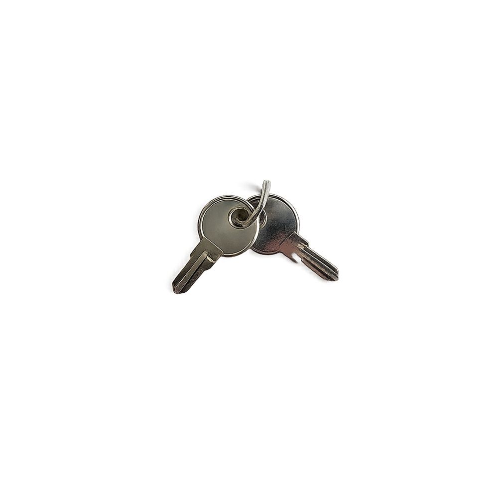 Practo Garden B798 losse blanco sleutels (2 stuks) voor Practo Garden B703-B712 brievenbussen